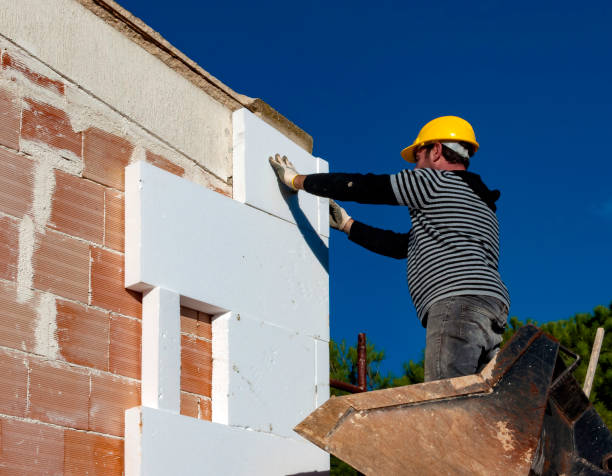 Best Attic Insulation Installation  in Estherville, IA