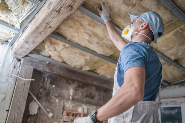 Best Affordable Insulation Services  in Estherville, IA