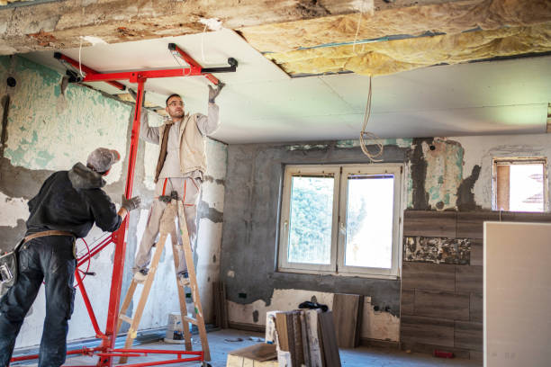 Best Attic Insulation Installation  in Estherville, IA