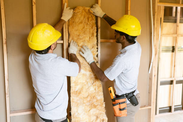 Best Insulation Contractors for Homes  in Estherville, IA