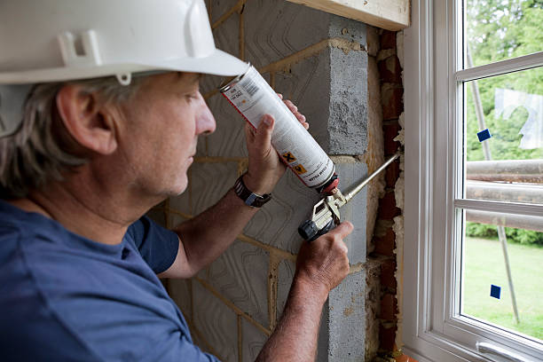 Best Professional Insulation Contractor  in Estherville, IA